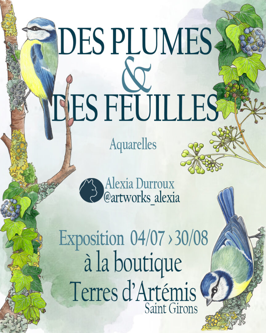 Des plumes et des feuilles, expo aquarelles à la boutique Terres d'Artémis